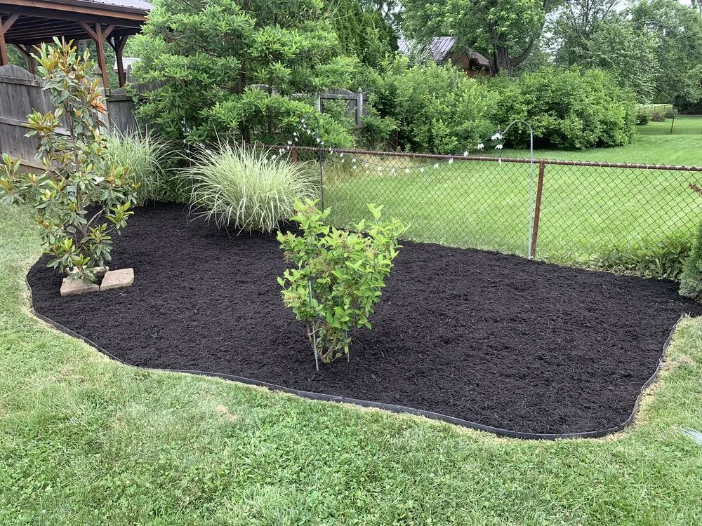 Local yard cleanup service for beautiful yards across Franklin, OH - Tye's Cutting Edge