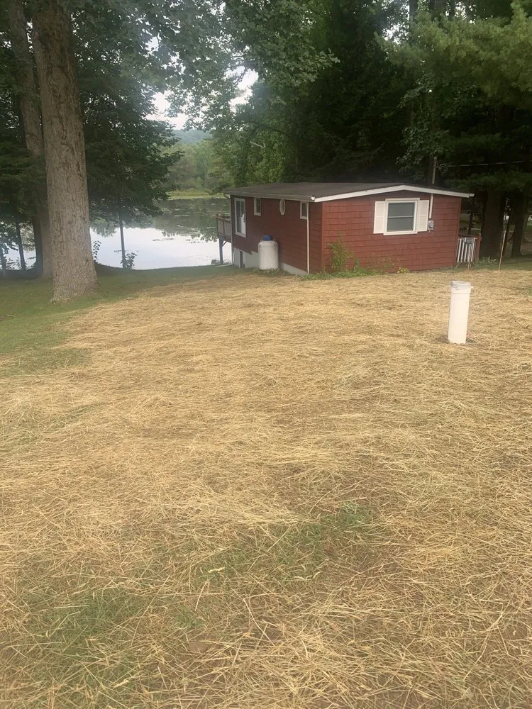 Top-rated lawn care service experts serving Clarion, PA - Tye's Small Jobs