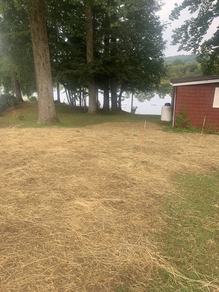 Reliable yard cleanup service near you in Clarion, PA by Tye's Small Jobs