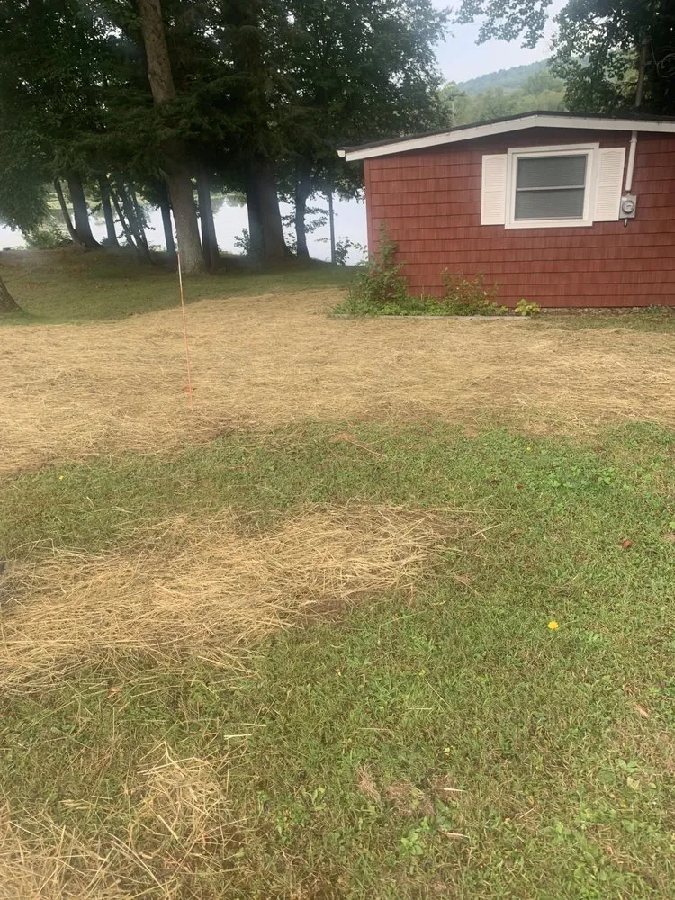 Custom landscape installation for residential properties across Clarion, PA - Tye's Small Jobs