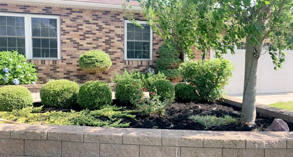 Top-rated yard cleanup service in Clarion, PA by Tye's Small Jobs