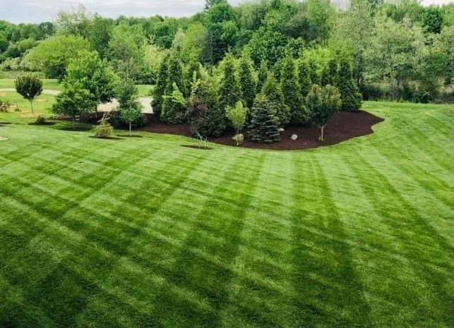 Top-rated lawn mowing service near you across Faribault, MN - Tyguys Lawn Care