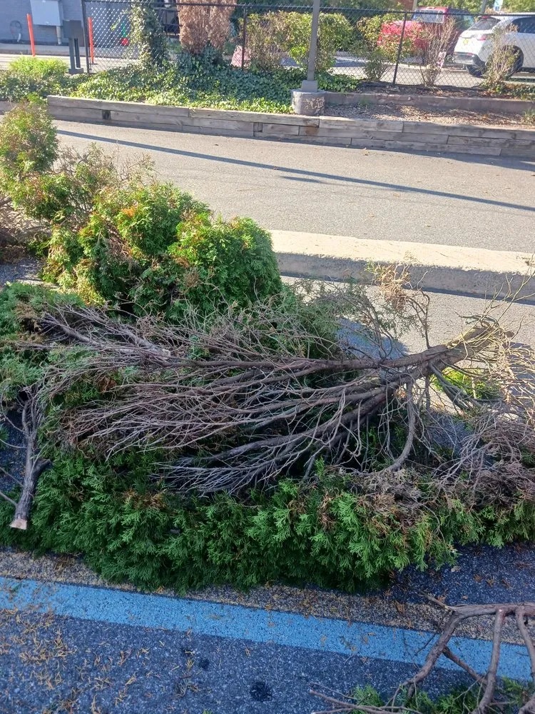 Top-rated outdoor landscaping experts serving Garfield, NJ - Tyken