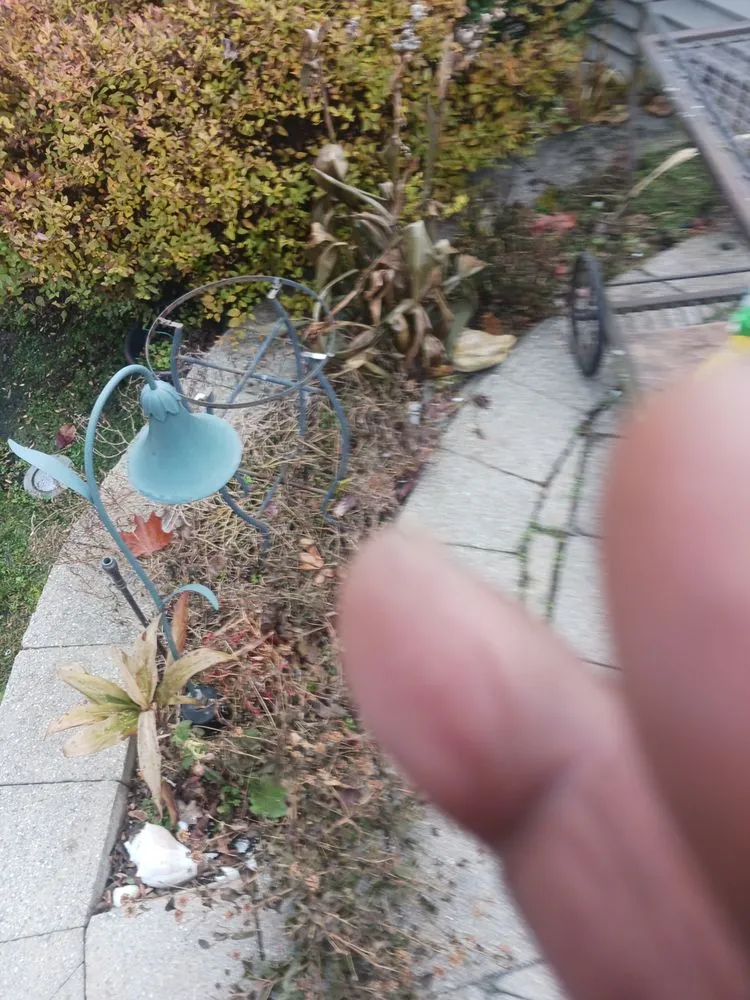 Local yard cleanup service in Garfield, NJ by Tyken