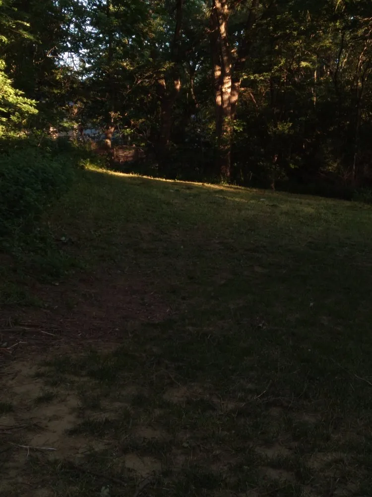 Professional lawn care service for residential properties in Sioux City, IA by Tyland Lawn Care