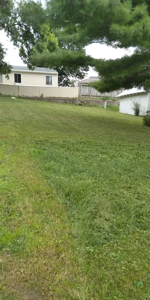 Local yard cleanup service in Sioux City, IA - Tyland Lawn Care