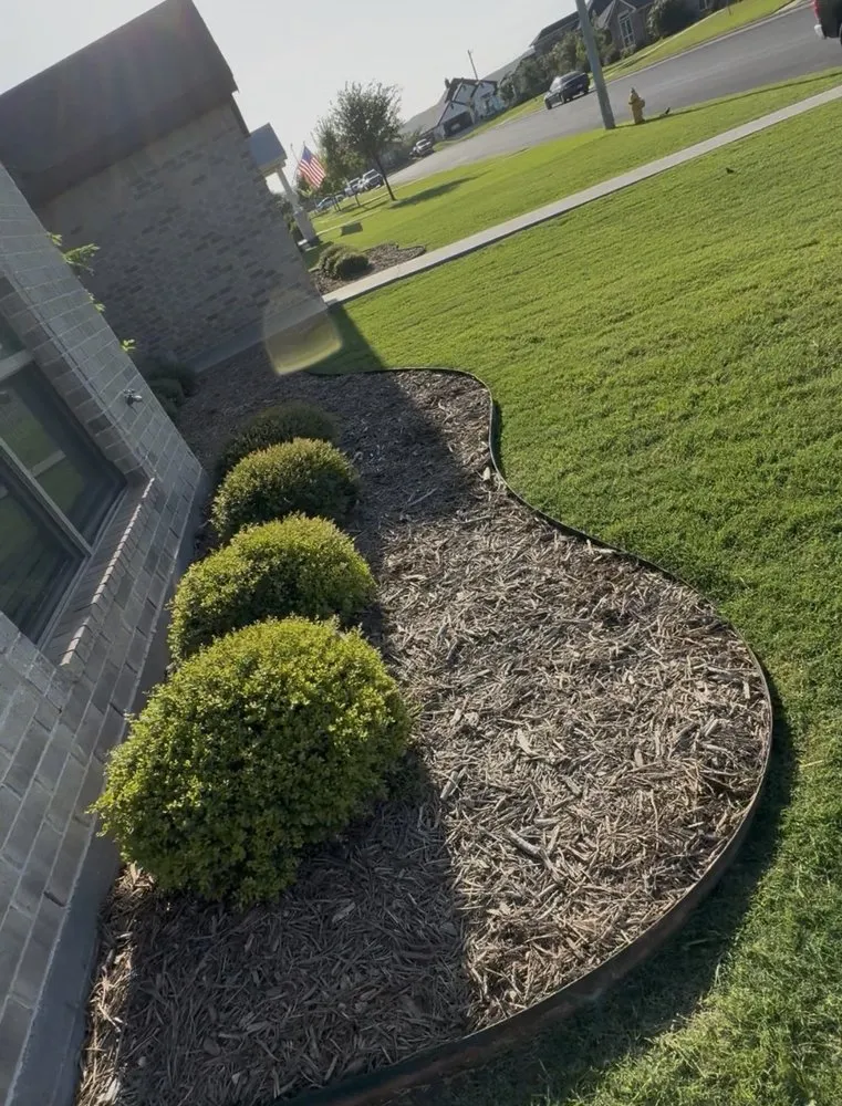 Trusted yard cleanup service experts serving San Angelo, TX - Tyler & Skyler Lawn