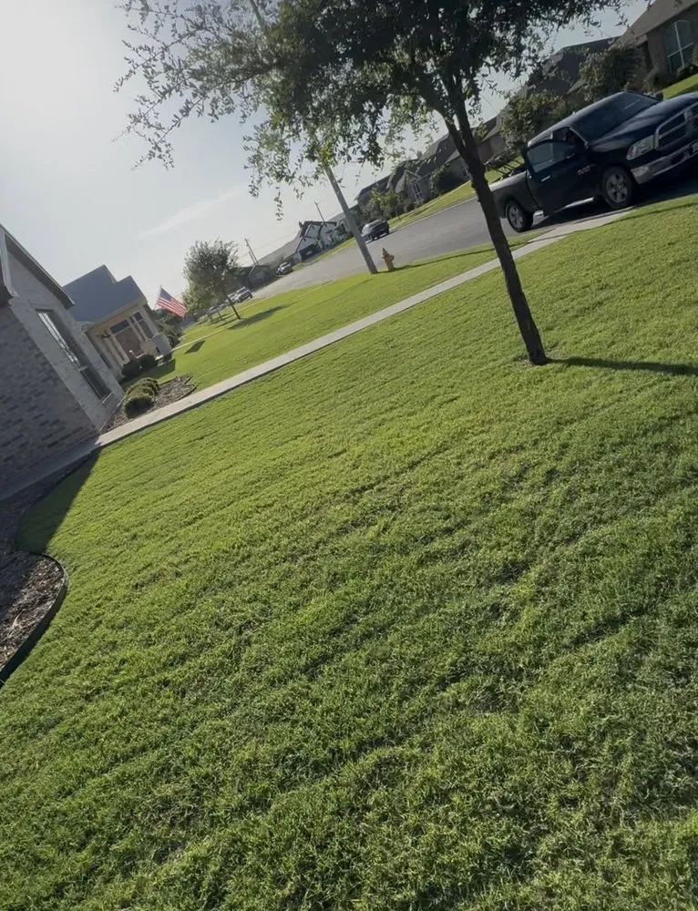 Professional outdoor landscaping in San Angelo, TX - Tyler & Skyler Lawn