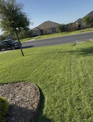 Tyler & Skyler Lawn Logo