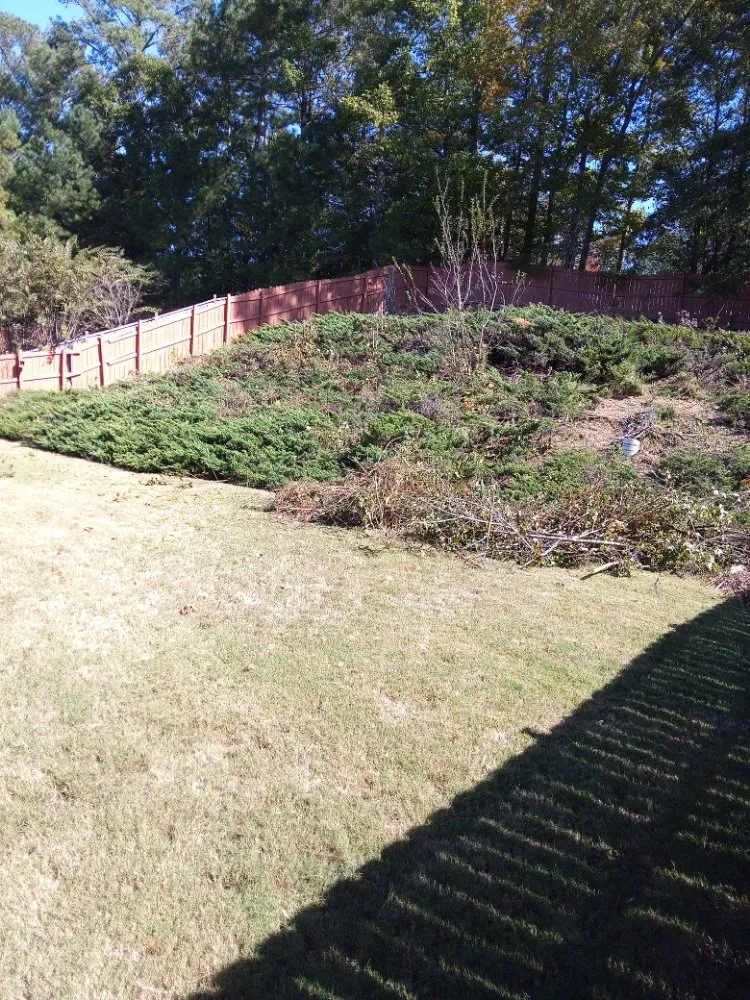 Reliable yard cleanup service for outdoor upgrades in Newnan, GA by Tyler & Taylor landscaping