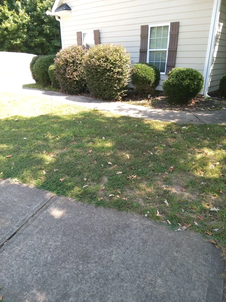 Top-rated yard cleanup service in Newnan, GA by Tyler & Taylor landscaping