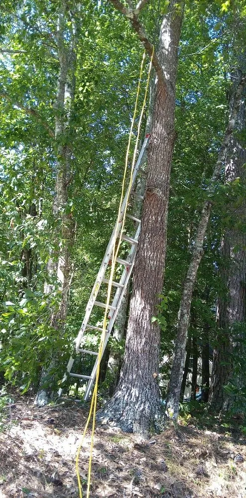 Professional yard cleanup service in Newnan, GA by Tyler & Taylor landscaping