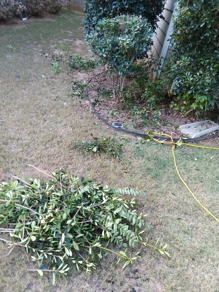 Professional landscaping services experts serving Newnan, GA - Tyler & Taylor landscaping