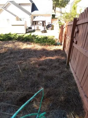 Tyler & Taylor landscaping Logo