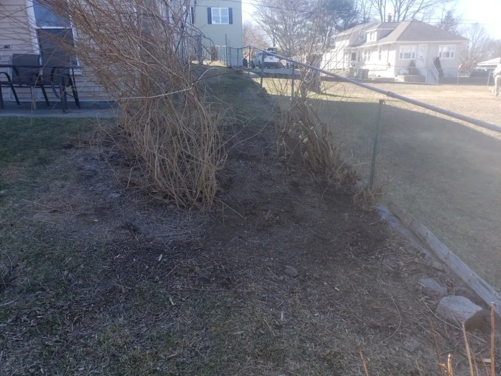 Affordable lawn mowing service in Woonsocket, RI by Tyler Bros Lawncare