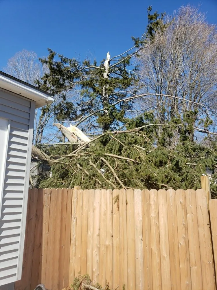 Custom lawn mowing service in Woonsocket, RI - Tyler Bros Lawncare