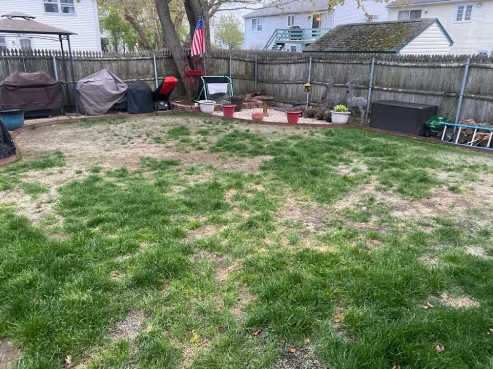 Top-rated yard cleanup service experts serving Woonsocket, RI - Tyler Bros Lawncare