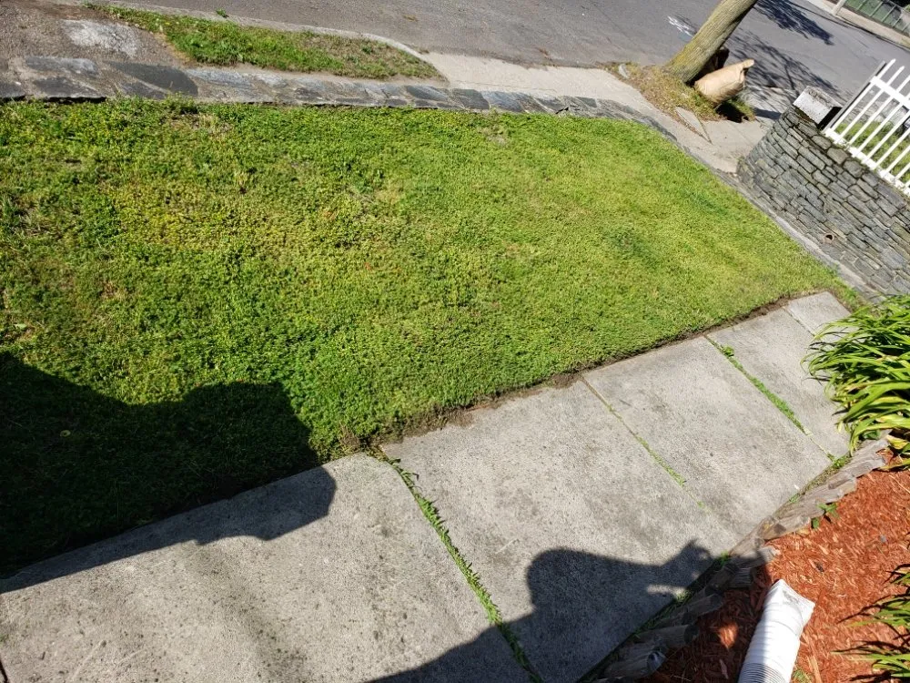 Local landscape design for year-round maintenance in Woonsocket, RI by Tyler Bros Lawncare