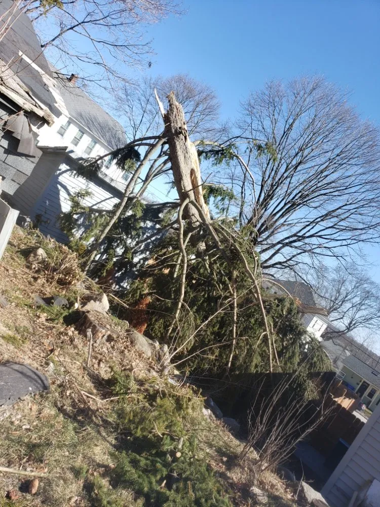 Trusted lawn mowing service in Woonsocket, RI - Tyler Bros Lawncare