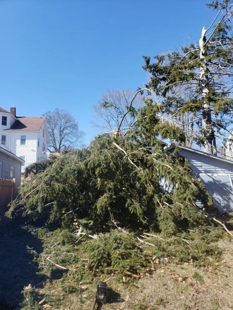 Affordable landscape installation for year-round maintenance in Woonsocket, RI by Tyler Bros Lawncare