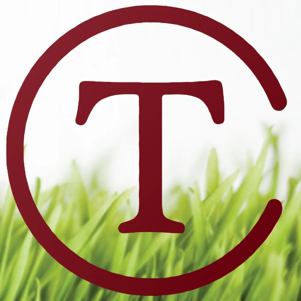 Affordable garden landscaping in Hollywood, FL - Tyler Costa's Lawn Care