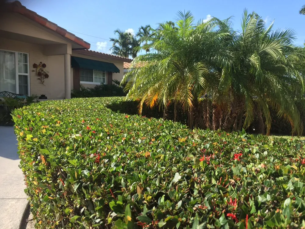 Professional yard maintenance near you across Hollywood, FL - Tyler Costa's Lawn Care
