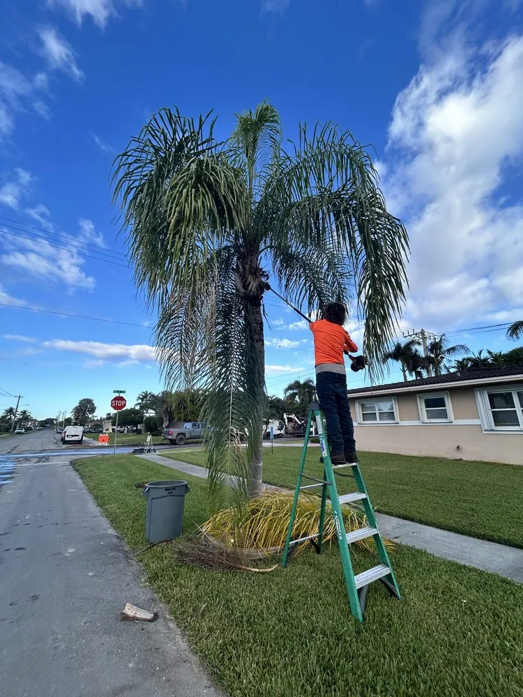 Custom yard cleanup service in Hollywood, FL by Tyler Costa's Lawn Care