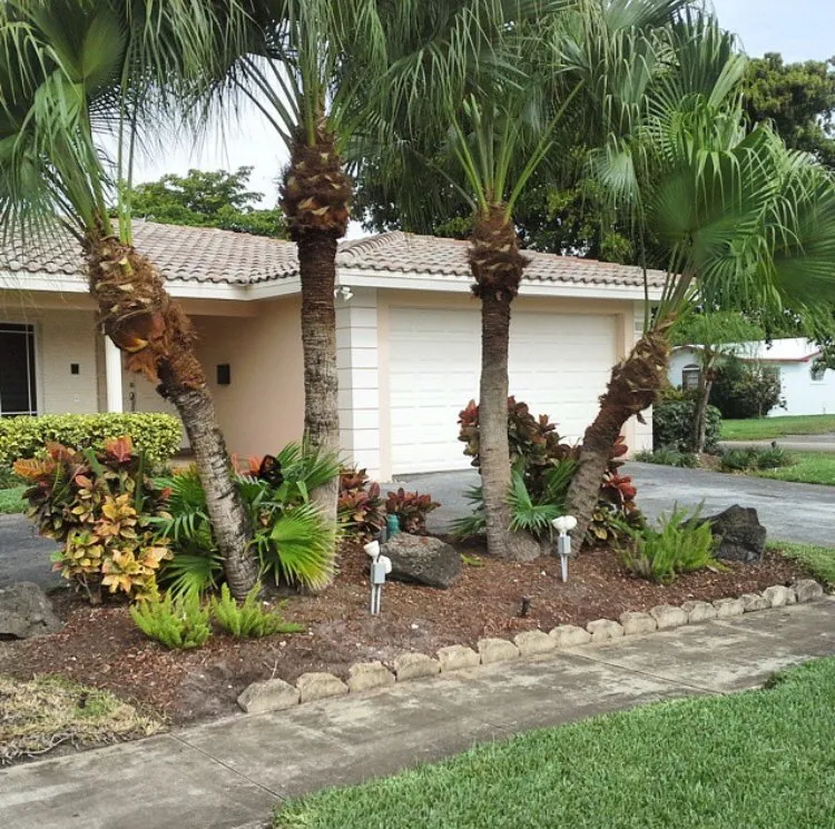 Top-rated landscape design in Hollywood, FL by Tyler Costa's Lawn Care