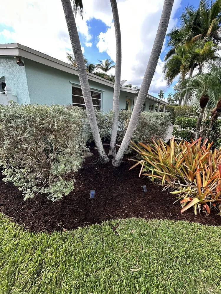 Custom lawn care service in Hollywood, FL - Tyler Costa's Lawn Care