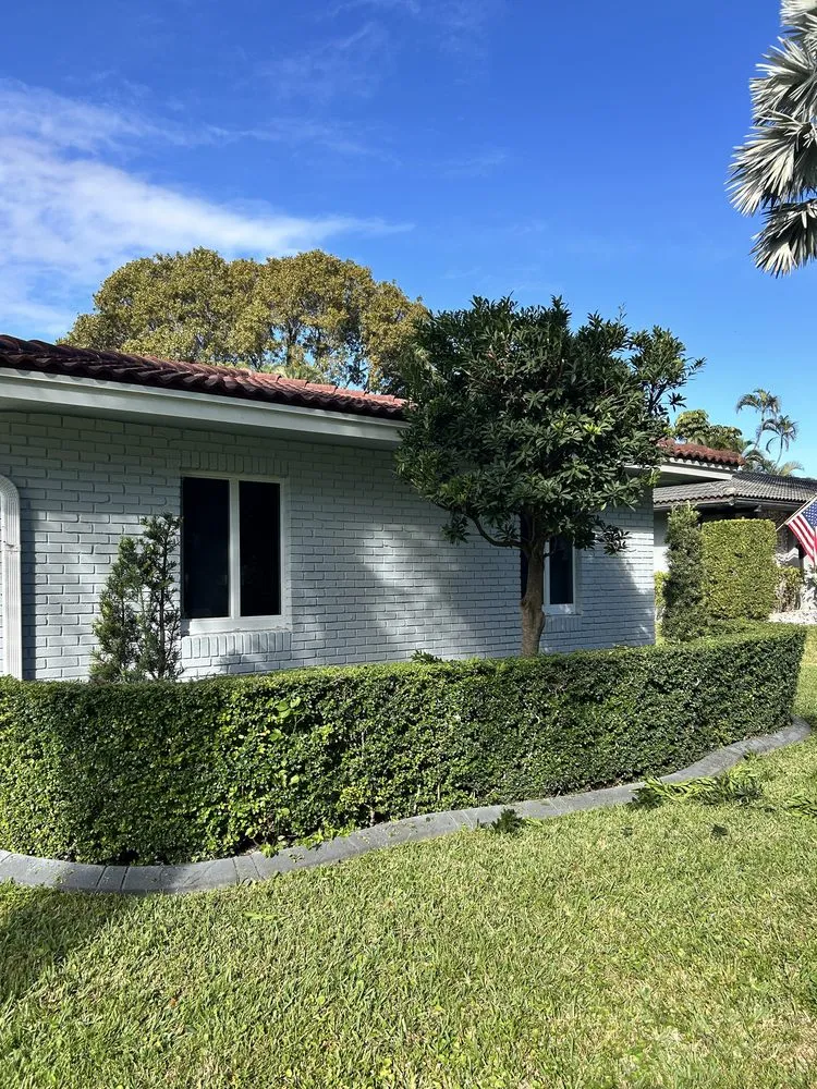 Affordable yard cleanup service for residential properties in Hollywood, FL by Tyler Costa's Lawn Care