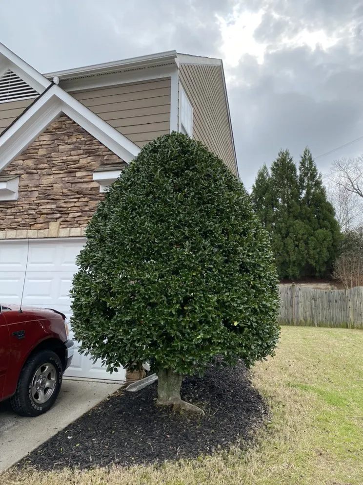 Expert outdoor landscaping experts serving Cartersville, GA - Tyler Landscape Company