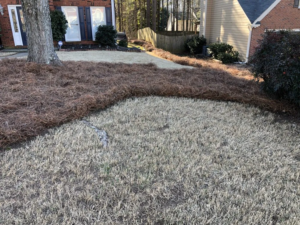 Professional landscape installation for residential properties across Cartersville, GA - Tyler Landscape Company