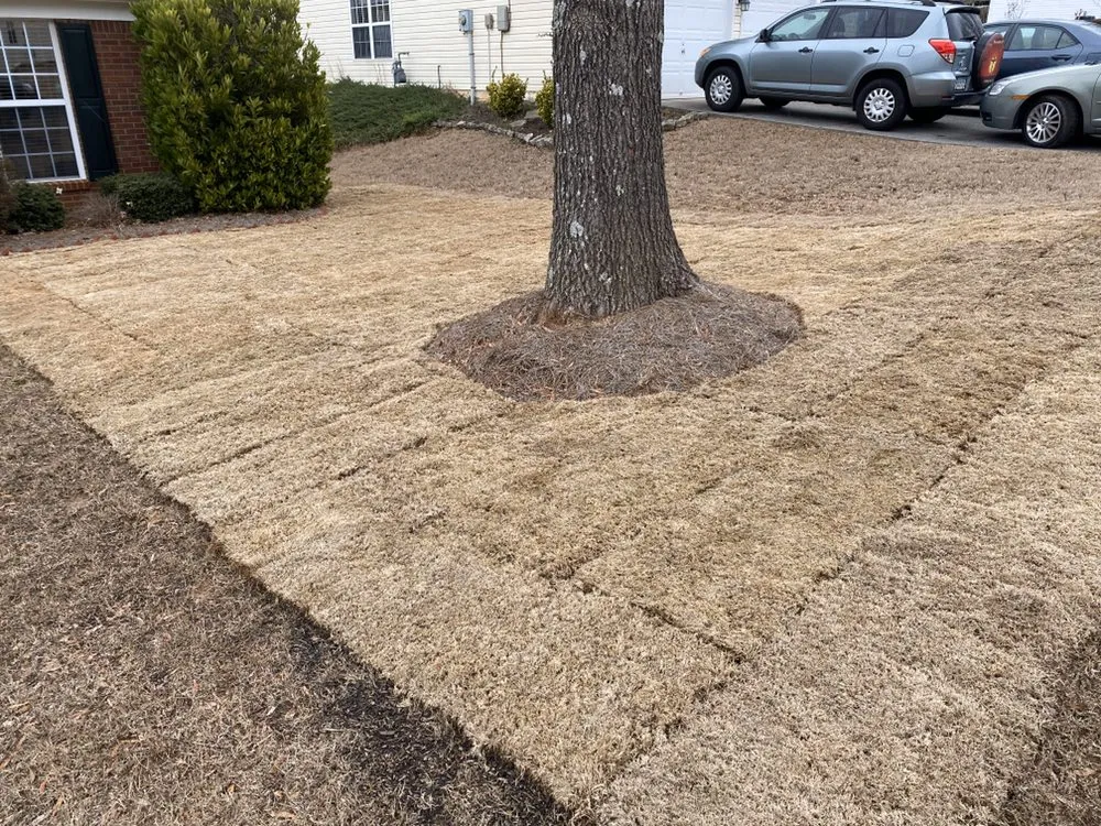 Top-rated residential landscaping in Cartersville, GA by Tyler Landscape Company