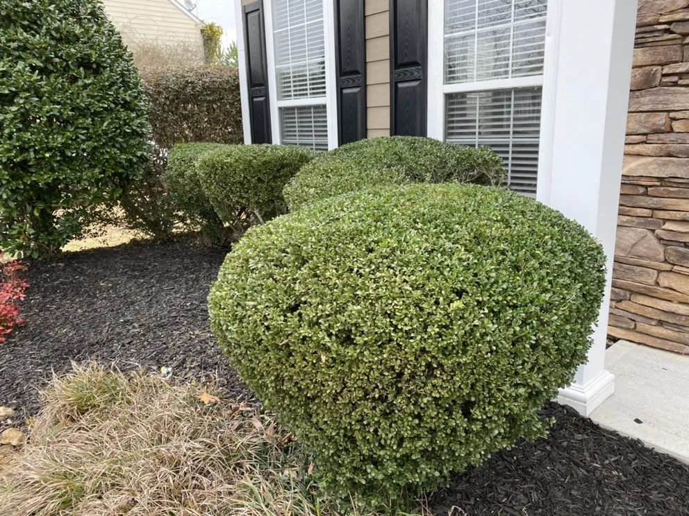 Custom landscaping services in Cartersville, GA by Tyler Landscape Company