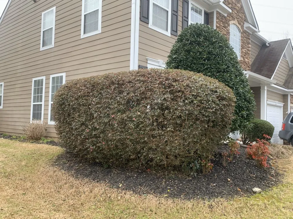 Custom yard cleanup service with custom design in Cartersville, GA by Tyler Landscape Company