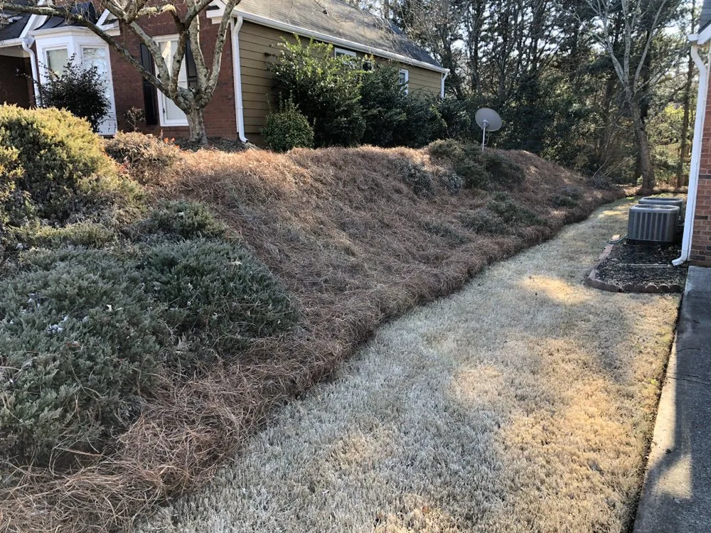 Local residential landscaping for outdoor upgrades across Cartersville, GA - Tyler Landscape Company