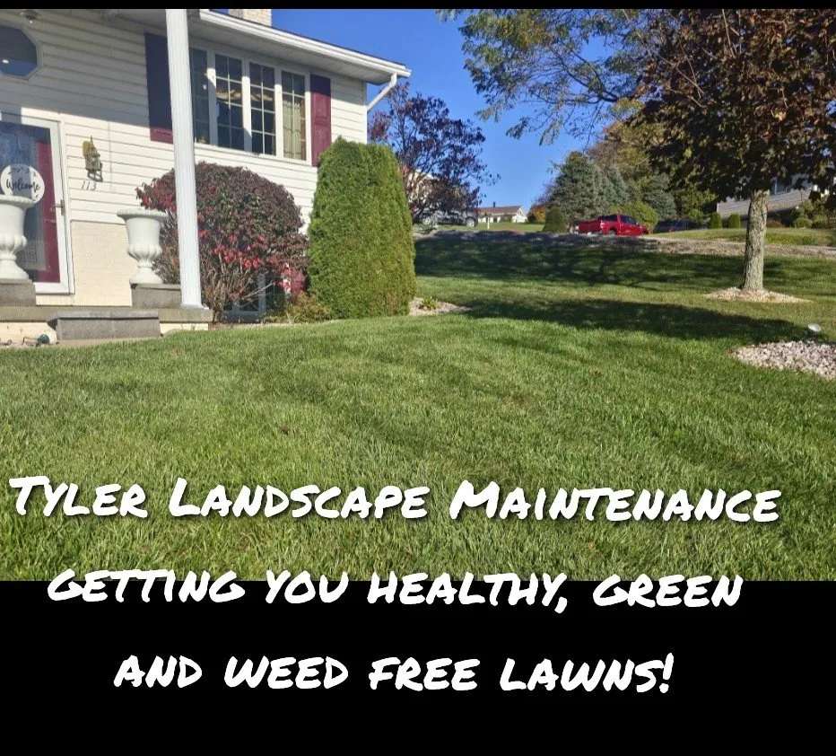 Expert landscaping services experts serving Saint Marys, PA - Tyler Landscape Maintenance