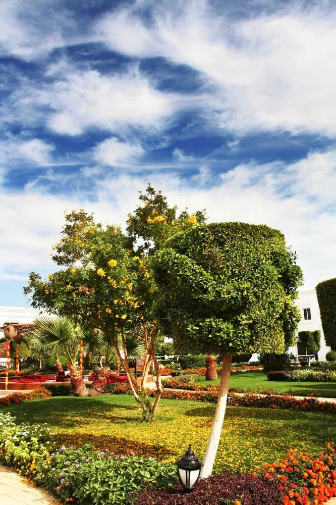 Affordable yard maintenance in Tyler, TX by Tyler Landscapers