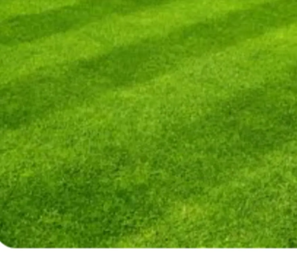 Reliable landscaping services experts serving Haleyville, AL - Tyler Lawn Mowing And Garden Care Services