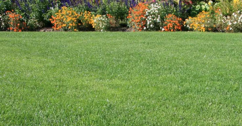 Professional lawn care service in Haughton, LA by Tyler Lawn Service