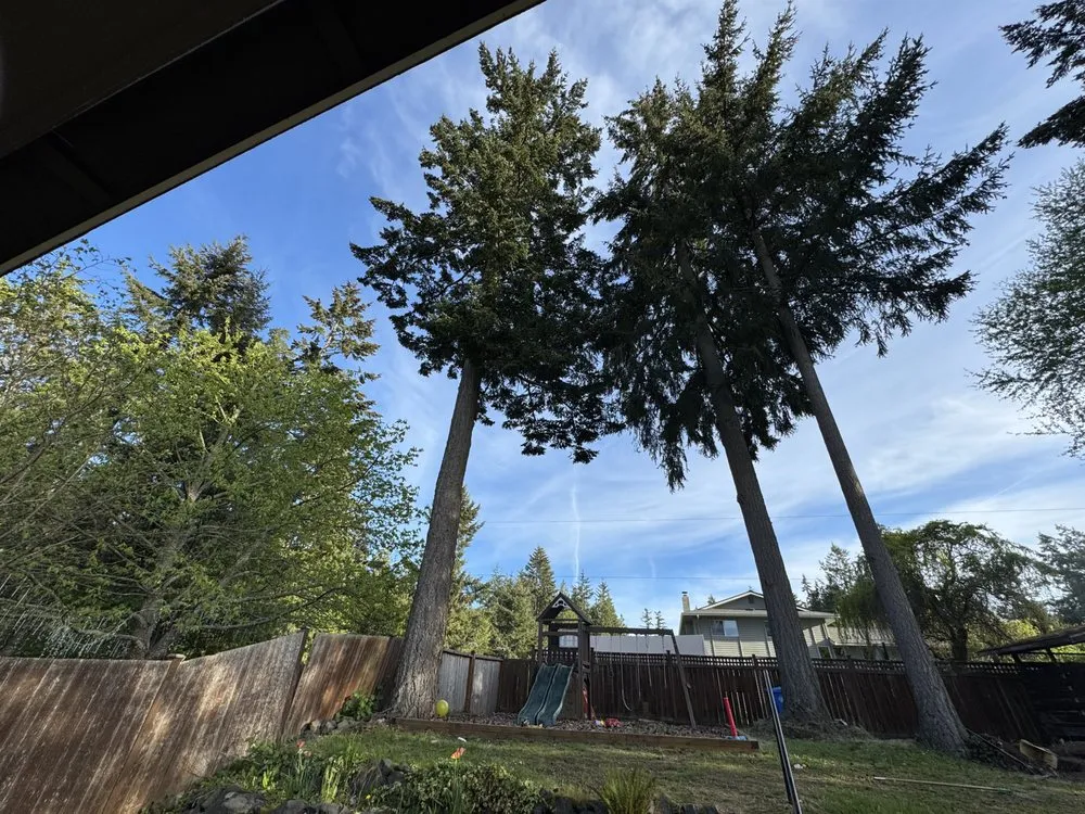 Affordable lawn care service for residential properties in Sumner, WA by Tyler McClure