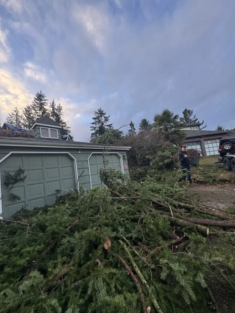 Top-rated residential landscaping in Sumner, WA by Tyler McClure