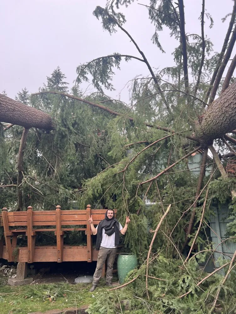 Expert lawn mowing service experts serving Sumner, WA - Tyler McClure