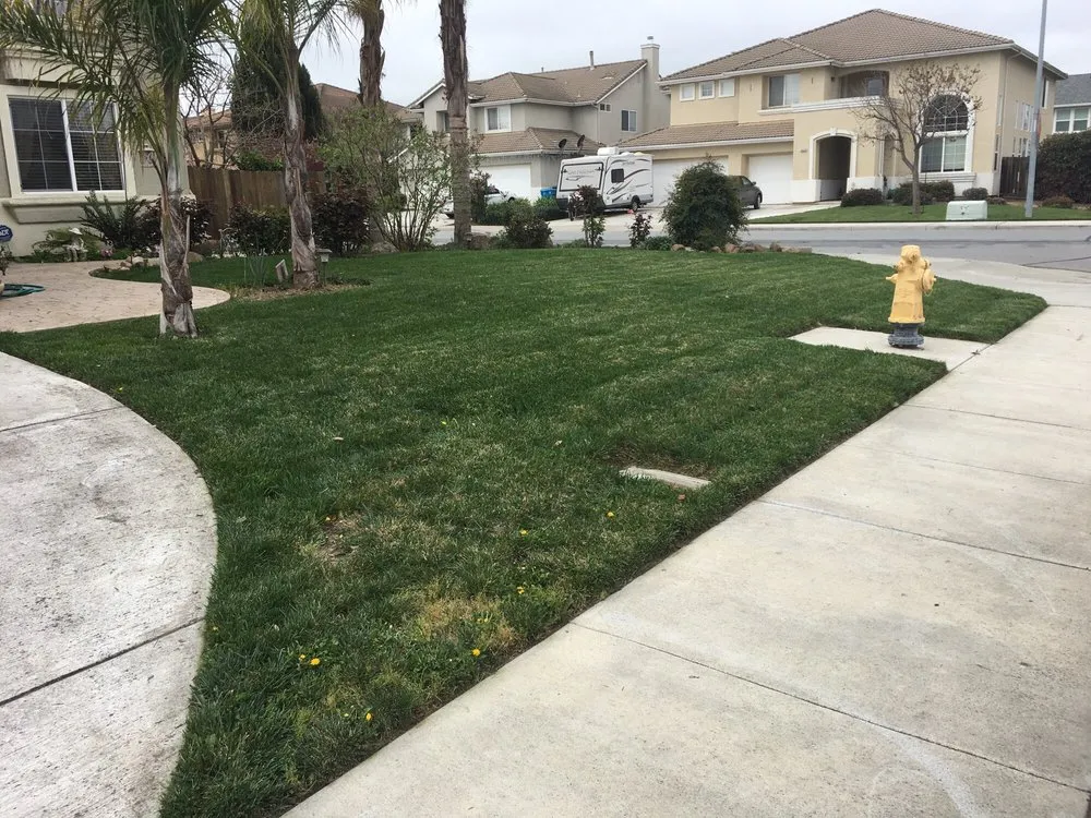 Expert lawn care service experts serving Salinas, CA - Tyler Stringer's HandyMan Services
