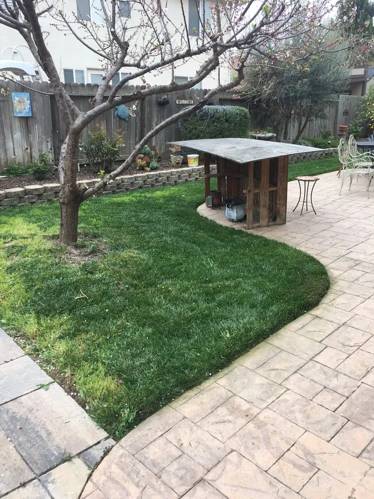 Local garden landscaping experts serving Salinas, CA - Tyler Stringer's HandyMan Services