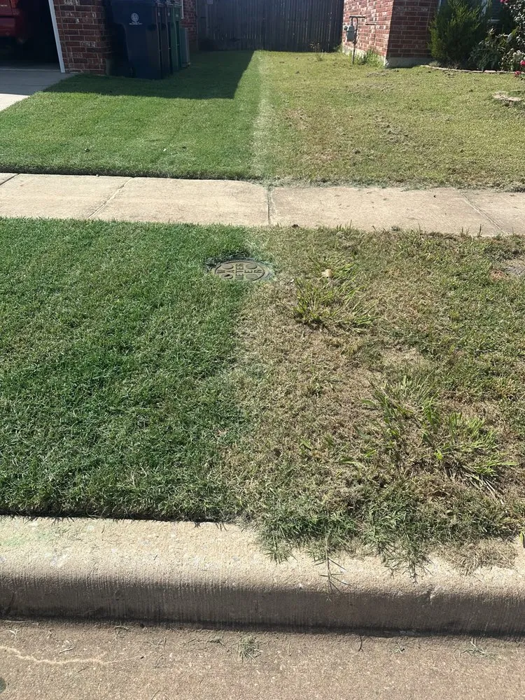 Top-rated garden landscaping in Norman, OK - Tyler Turf