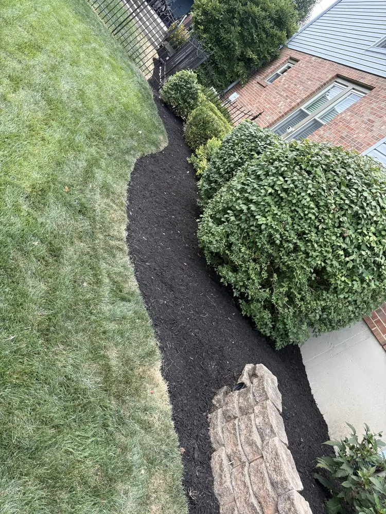 Affordable lawn care service in Liberty Township, OH - Tyler’s Labor
