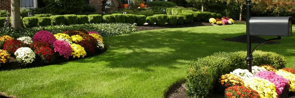 Affordable yard maintenance in Framingham, MA - Tyler's Landscaping