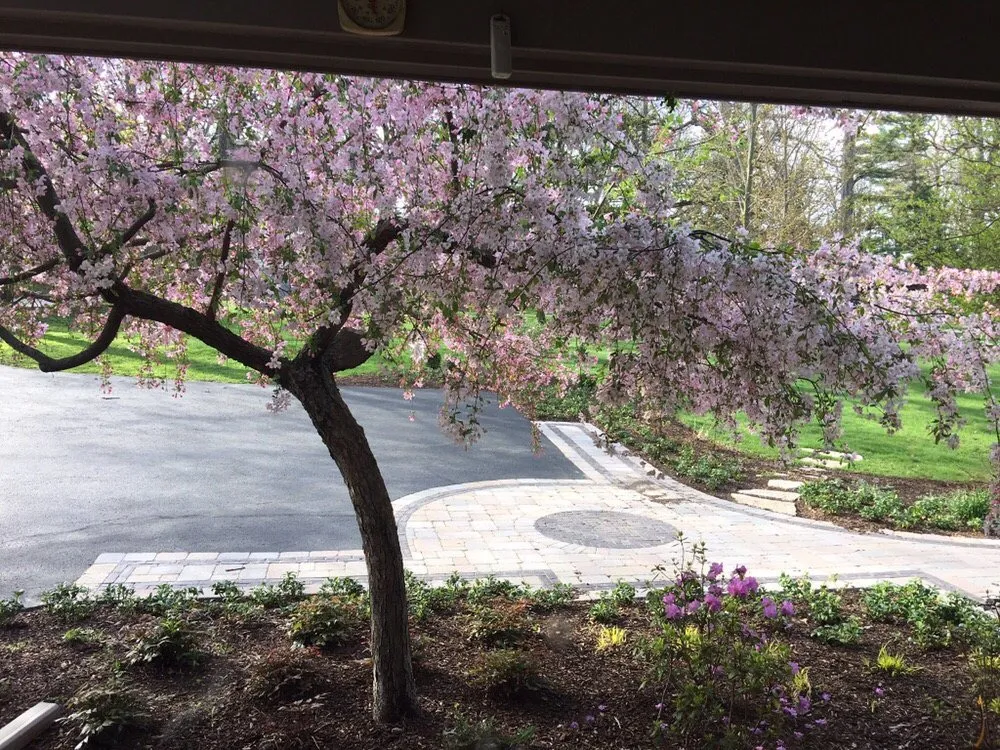 Custom residential landscaping in Rockford, IL - Tyler's Landscaping