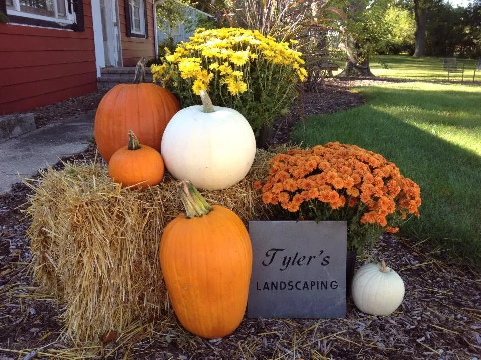 Affordable lawn care service for beautiful yards in Rockford, IL by Tyler's Landscaping